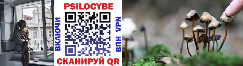 Галлюциногенные грибы мицелий  Купить где  Владикавказ 