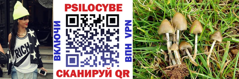 Галлюциногенные грибы ЛСД Владикавказ